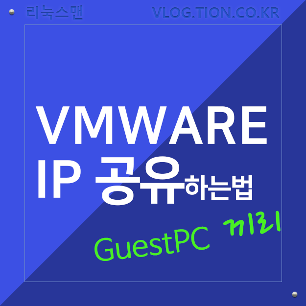 Sharing IP among guest PCs with host-only network in vmware
